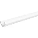 EVN APESW300 APESW300 1 pc(s)