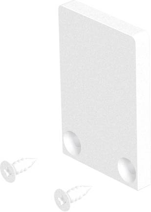 Panneau mural rectangulaire blanc avec deux trous de vis et deux vis blanches présentées séparément sur un fond uni.