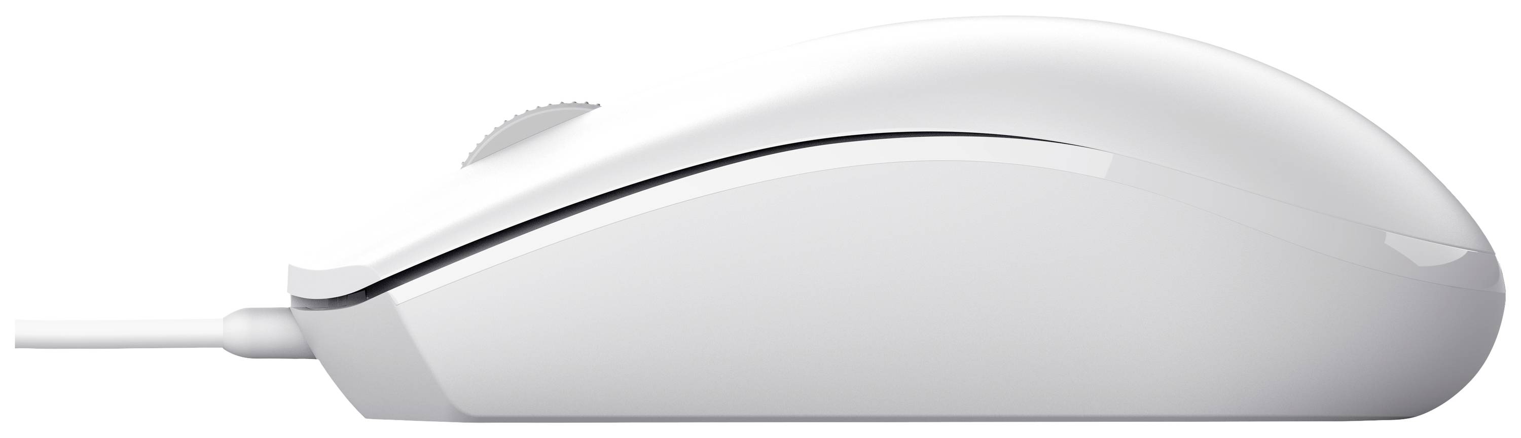 Souris d'ordinateur blanche vue de côté, design moderne épuré, connectée par câble.