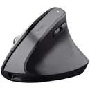 Trust Bayo+ Souris ergonomique Bluetooth optique noir 6 Boutons 800 dpi, 1200 dpi, 1600 dpi, 2400 dpi ergonomique, Touch
