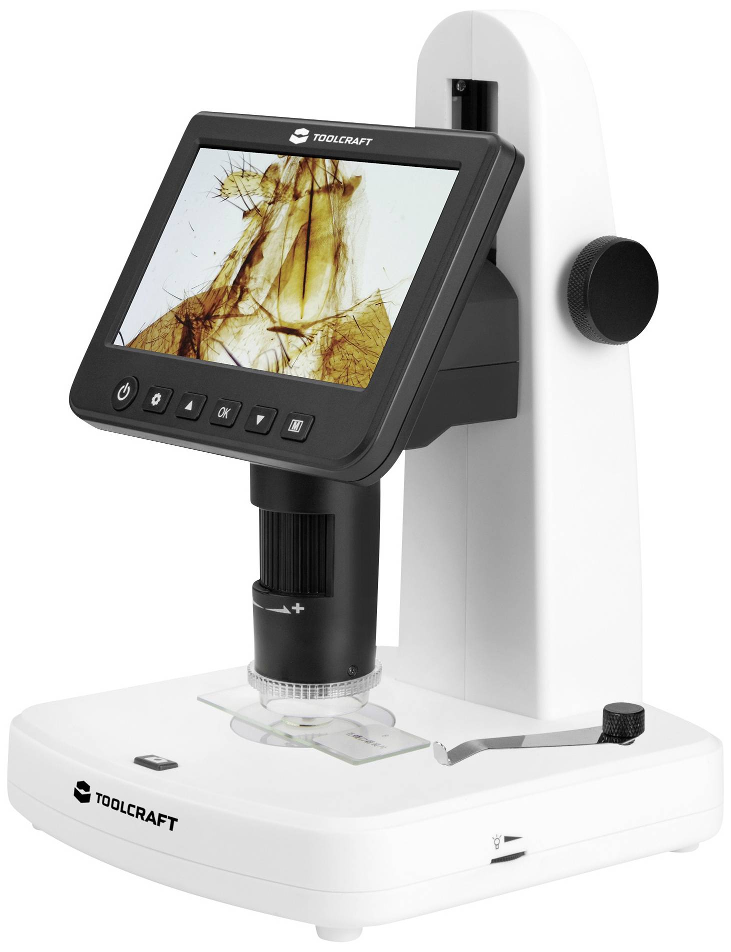 Microscope numérique avec écran intégré montrant un insecte fortement grossi. Idéal pour des examens détaillés en science et en éducation.