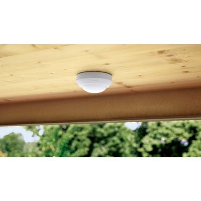 Un détecteur de fumée est installé sur un plafond en bois. À travers une fenêtre ouverte, on aperçoit une végétation verte floue en arrière-plan.