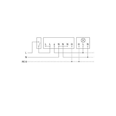 Un circuit électrique montre les bornes de Phase (L), Neutre (N) et Terre de Protection (PE). Câblage avec un interrupteur et une lampe.