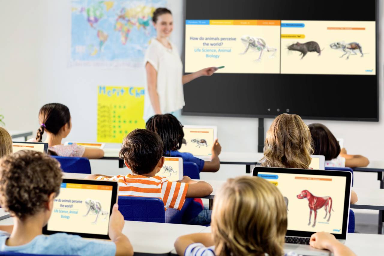 Une enseignante donne cours dans une salle de classe. Les élèves utilisent des tablettes pour observer des images d'animaux sur un tableau interactif.