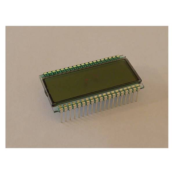 Display Elektronik Écran LCD DE118TS-20/8.0