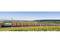 Un long train de marchandises traverse un paysage verdoyant et vallonné sous un ciel dégagé. Au premier plan, on distingue des vignes.