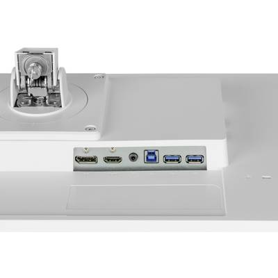 Arrière d'un moniteur avec des connexions : deux ports HDMI, une prise audio, un port VGA, deux ports USB.