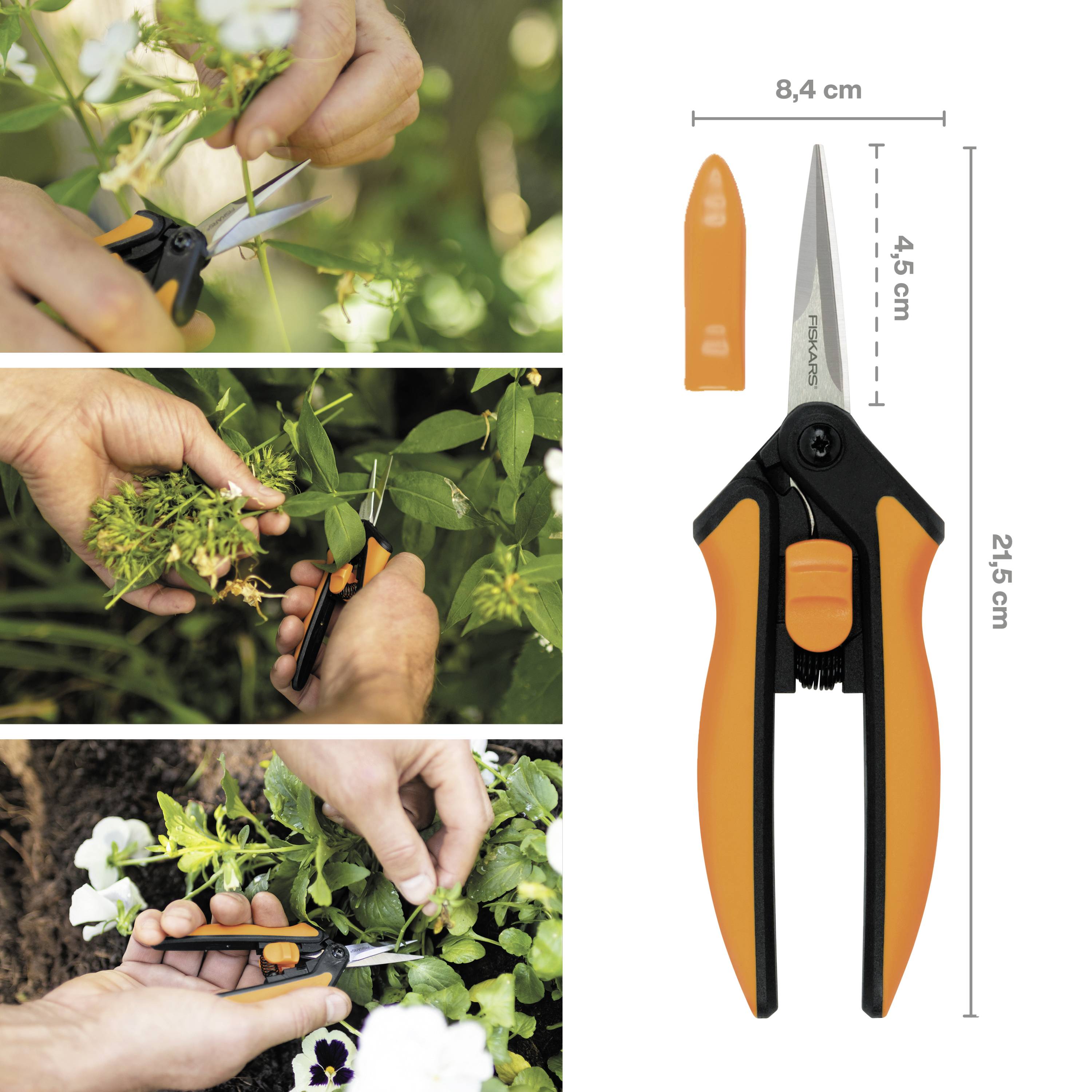 Trois images montrent des mains coupant des plantes avec des ciseaux. À droite, un gros plan des ciseaux orange de 21,5 cm.