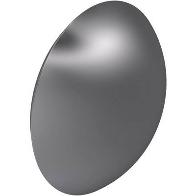 Un objet métallique brillant, ovale, à la surface lisse et présentant un léger reflet.