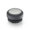 RAFI 1.30.270.005/2201 E-BOX IO-LINK Bouton-poussoir lumineux à rappel à rappel (L x l x H) 29.8 x 29.8 x 20.7 mm 1 pc(s)