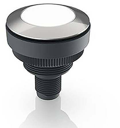 RAFI RAMO 30 Voyant lumineux blanc 1 pc(s) Piece