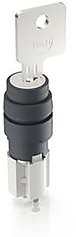 Interrupteur à clé avec boîtier cylindrique et clé insérée dans la serrure. Adapté aux applications de commande ou de sécurité.