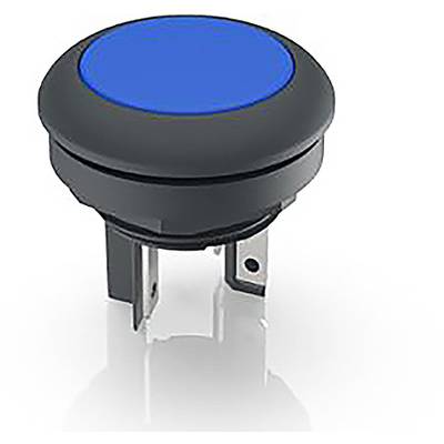 Bouton-poussoir rond bleu avec contacts métalliques en bas. Adapté pour les appareils électroniques destinés au contrôle ou à la commutation de fonctions.