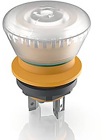 RAFI LUMOTAST 16 Arrêt d'urgence illuminable 2 NF (R) 1 pc(s)
