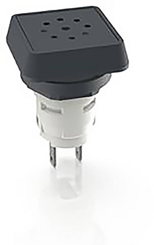 RAFI 1.30.078.001/0100 Générateur de signal acoustique Bruit généré: 70 dB  Tension: 24 V/DC son continu 1 pc(s)