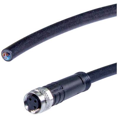 Un câble noir avec une fiche métallique et des fils nus à l'autre extrémité. Utilisé en électrotechnique.