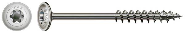 SPAX 0257000601005 R 88193 m.Spitze/T-STAR TG Vis à bois 6 mm 100 mm T-STAR plus    acier inoxydable A2 100 pc(s)