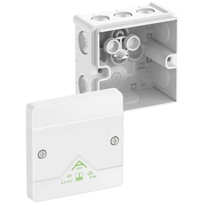 Une boîte de dérivation blanche IP66 avec son couvercle retiré montre des bornes rondes et des encoches de montage pour des installations électriques.