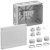 Spelsberg 48142501 Boîte de dérivation (L x l x H) 202 x 252 x 120 mm gris IP54, IP66 1 pc(s)
