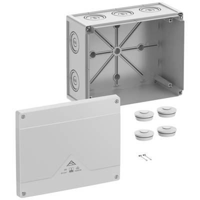 Boîte de dérivation électrique grise avec couvercle amovible, quatre presse-étoupes et deux vis incluses.