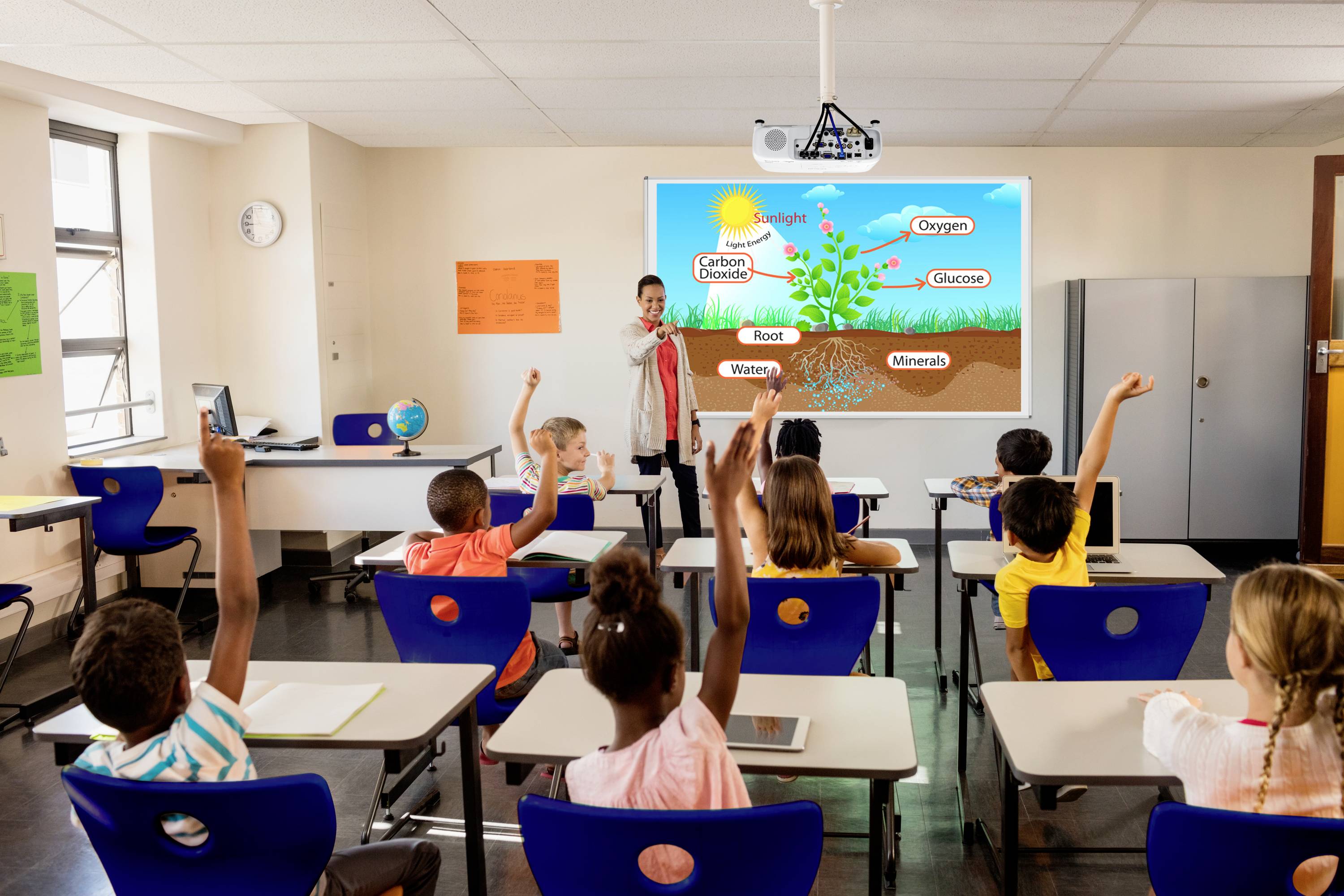 Un enseignant explique la photosynthèse végétale à des élèves ; un tableau blanc interactif affiche un diagramme montrant une plante, ses racines et le processus de photosynthèse.