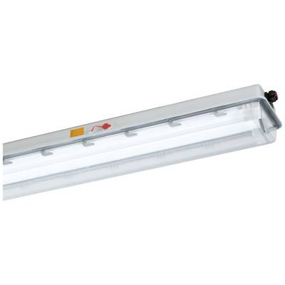 Lampe LED étanche avec boîtier robuste et transparent, équipée d'un panneau lumineux rectangulaire, adaptée aux environnements industriels.