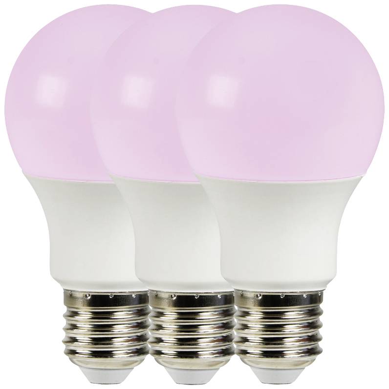 Trois ampoules LED roses côte à côte.
