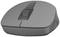 Souris d'ordinateur grise avec deux boutons et une molette de défilement, vue de côté.