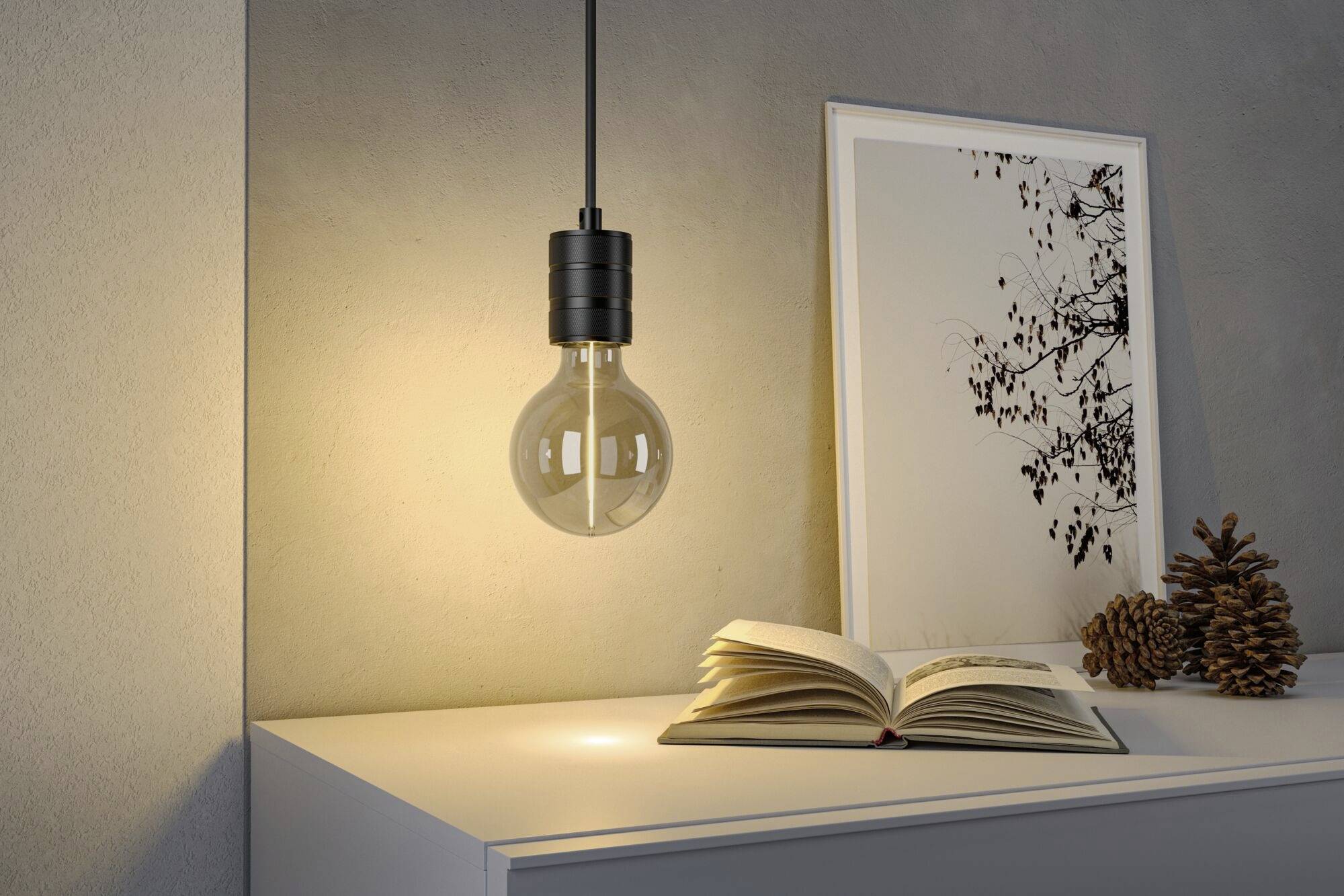 Une ampoule allumée au-dessus d'une table avec un livre ouvert, à côté d'un cadre encadré avec des branches d'arbre et des pommes de pin.