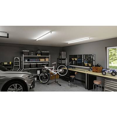 Un garage bien rangé avec une voiture, un vélo sur un support, des étagères remplies de boîtes, une table de travail et une fenêtre donnant sur l'extérieur.