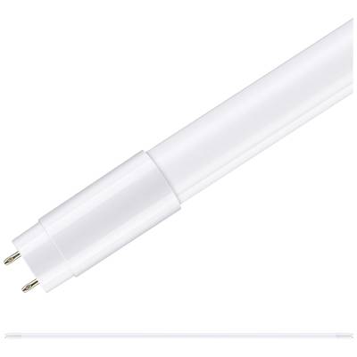 Lampe LED tubulaire, gros plan, avec deux broches métalliques à l'extrémité, sur un fond blanc.