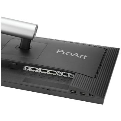 Dos d'un moniteur portant l'inscription 'ProArt', montrant les connexions et le support de l'écran.