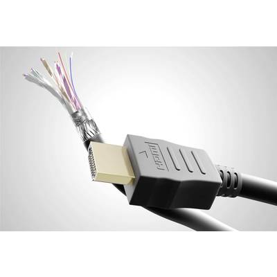 'Un câble HDMI avec une extrémité endommagée et des fils internes exposés, montrant des conducteurs de câble de différentes couleurs.'