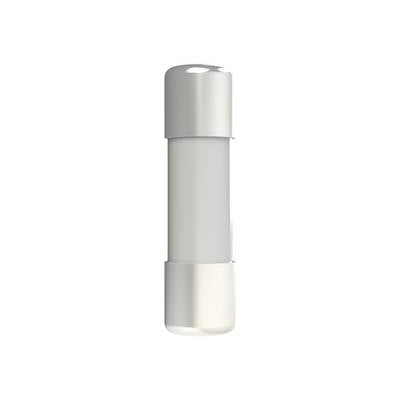 Un fusible cylindrique en verre avec des embouts métalliques argentés à chaque extrémité, isolé sur un fond blanc.