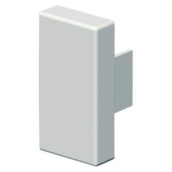 Gewiss NP41362 Embout  (l x H) 30 mm x 18 mm 1 pc(s)