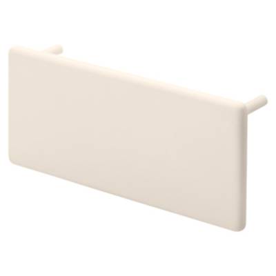 Un panneau rectangulaire de couleur crème aux bords lisses, pourvu de deux broches saillantes sur sa face supérieure.