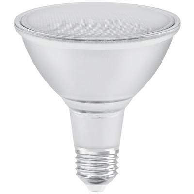 Lampe LED argentée avec douille à vis, adaptée aux supports d'éclairage standard.