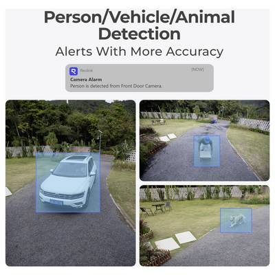 « Alertes de Détection de Personnes/Véhicules/Animaux avec Plus de Précision ». La caméra détecte une voiture, une personne et un animal dans l'allée avec des boîtes bleues.