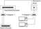 Diagramme réseau montrant la connexion du panneau de brassage/répartiteur via un adaptateur en Y vers un commutateur/routeur et des ordinateurs via une prise réseau.