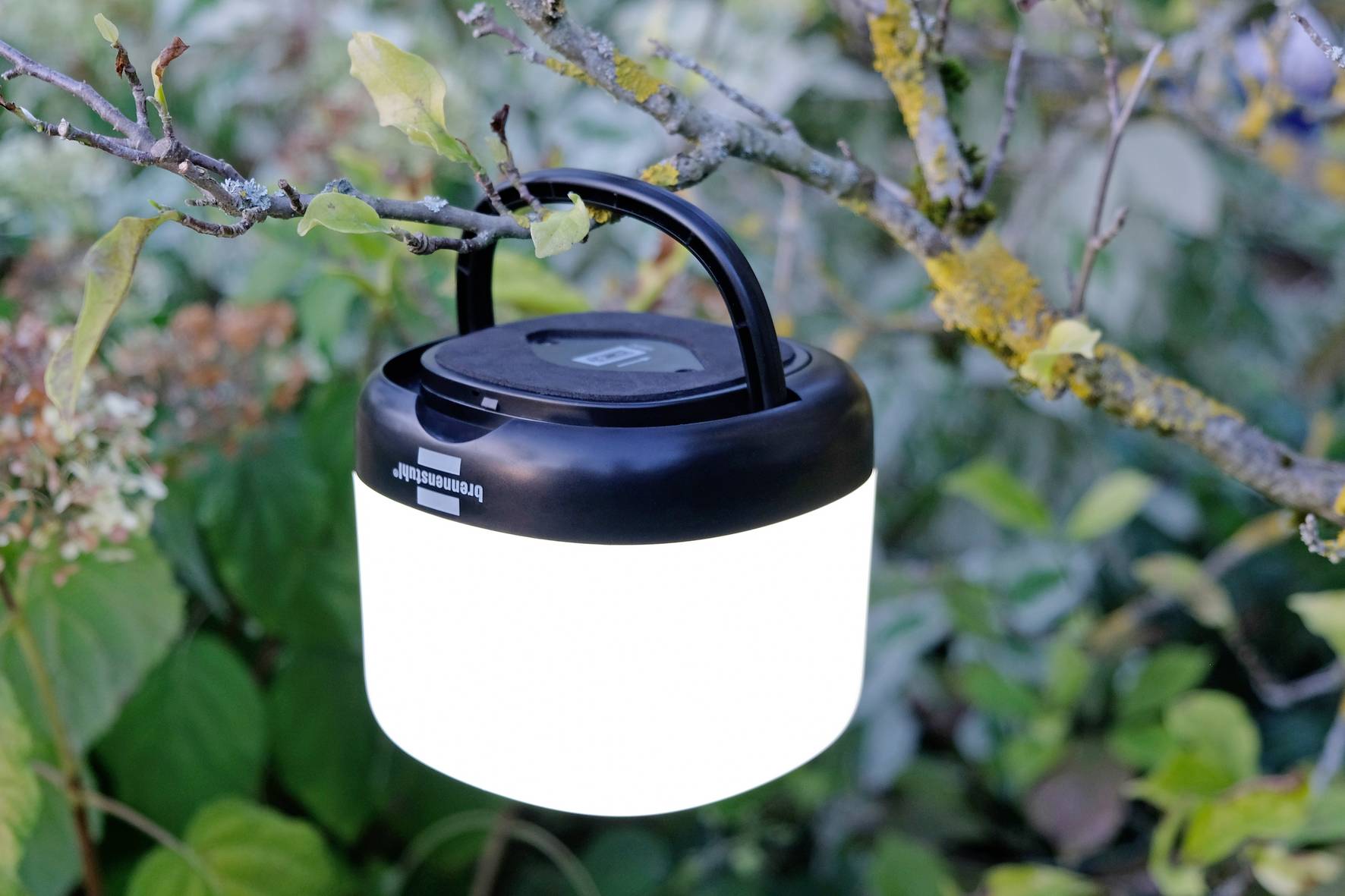 Une lanterne lumineuse, alimentée par des piles, est suspendue à une branche d'un arbre en extérieur, entourée de feuilles.