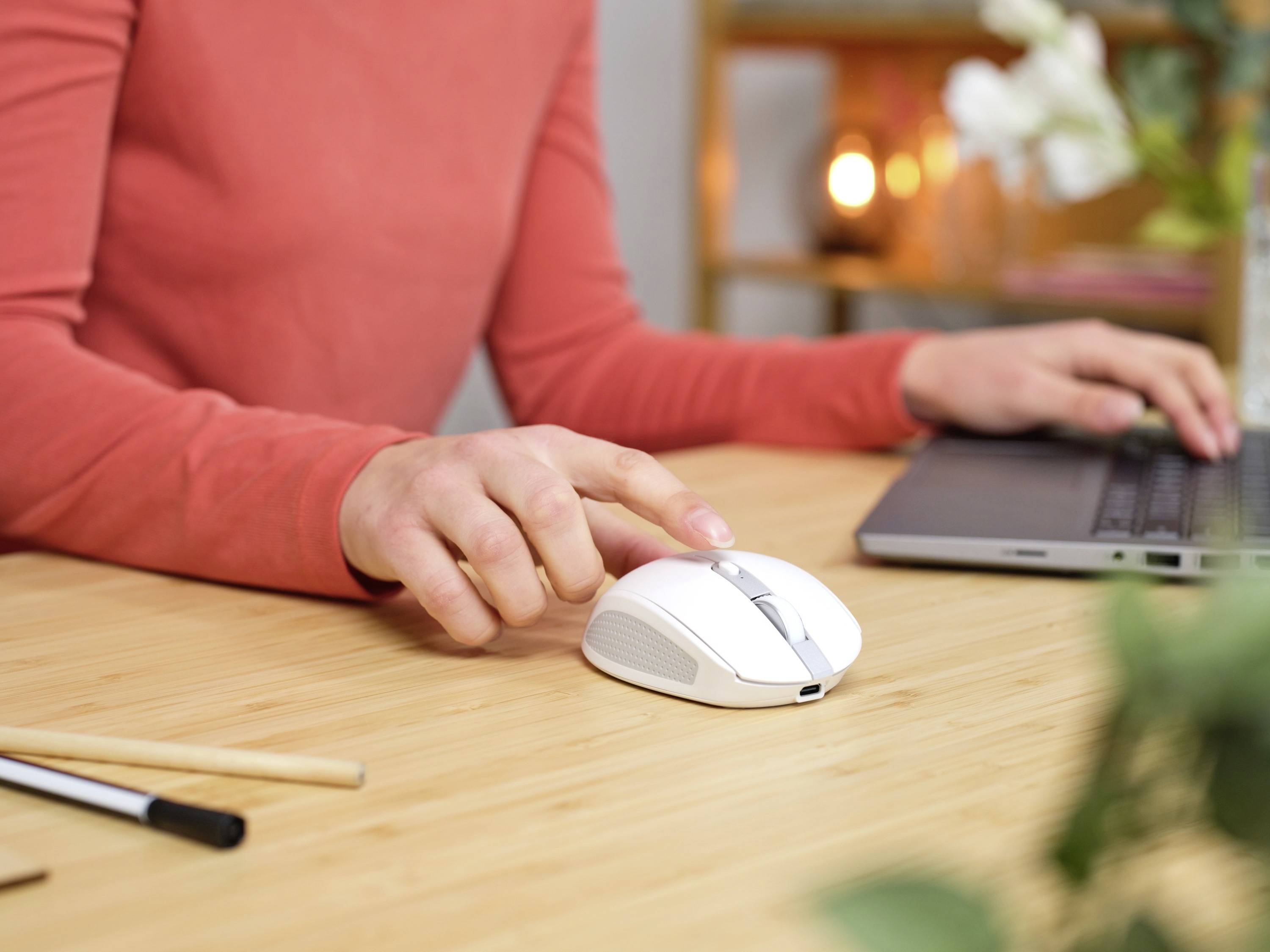 Une personne travaille sur un ordinateur portable à un bureau et utilise une souris blanche. Des étagères à livres et des plantes sont visibles en arrière-plan.