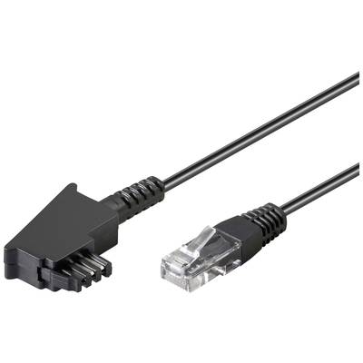 Un câble Ethernet avec un adaptateur rectangulaire noir et une prise RJ-45 transparente.