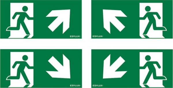 ESYLUX EN10032806 Jeu de pictogrammes   Sortie