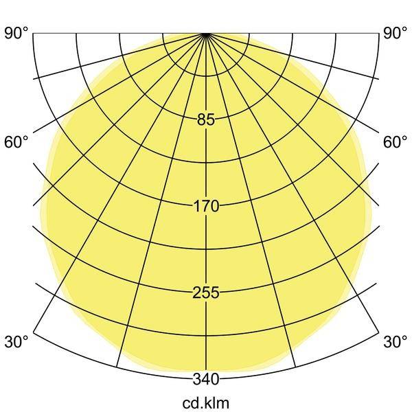 Diagramme polaire de distribution lumineuse : Un cercle jaune montre la propagation de la lumière en degrés, de 0° à 90°. Axes étiquetés.