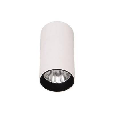 Un luminaire cylindrique blanc avec un bord intérieur noir et un espace intérieur réfléchissant, adapté à l'éclairage intérieur moderne.