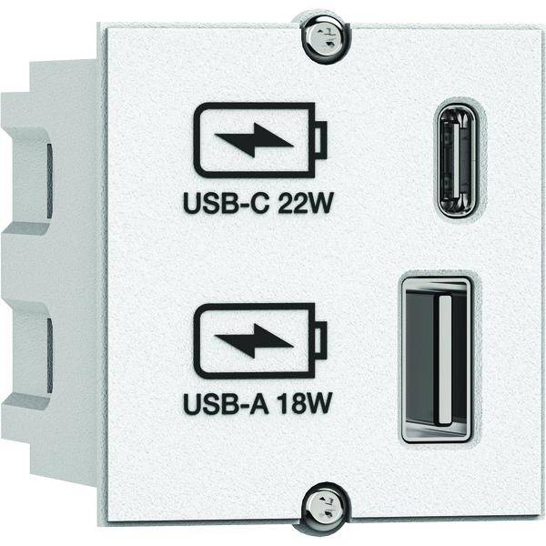 Module personnalisé Bachmann 9172271  blanc connecteur GST18i 1 pc(s)
