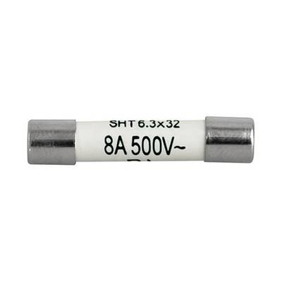 Fusible en verre avec l'inscription '8A 500V'. Embouts argentés aux deux extrémités. Utilisé pour protéger les appareils électroniques.