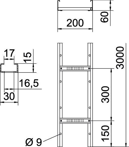 Dessin technique d'une échelle avec dimensions : Hauteur 3000 mm, Largeur 200 mm, Espacement des échelons 300 mm, Diamètre 9 mm.