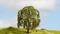 Un seul arbre se dresse sur une colline verte sous un ciel bleu parsemé de nuages. Une petite personne marche sur le chemin à côté de l'arbre.
