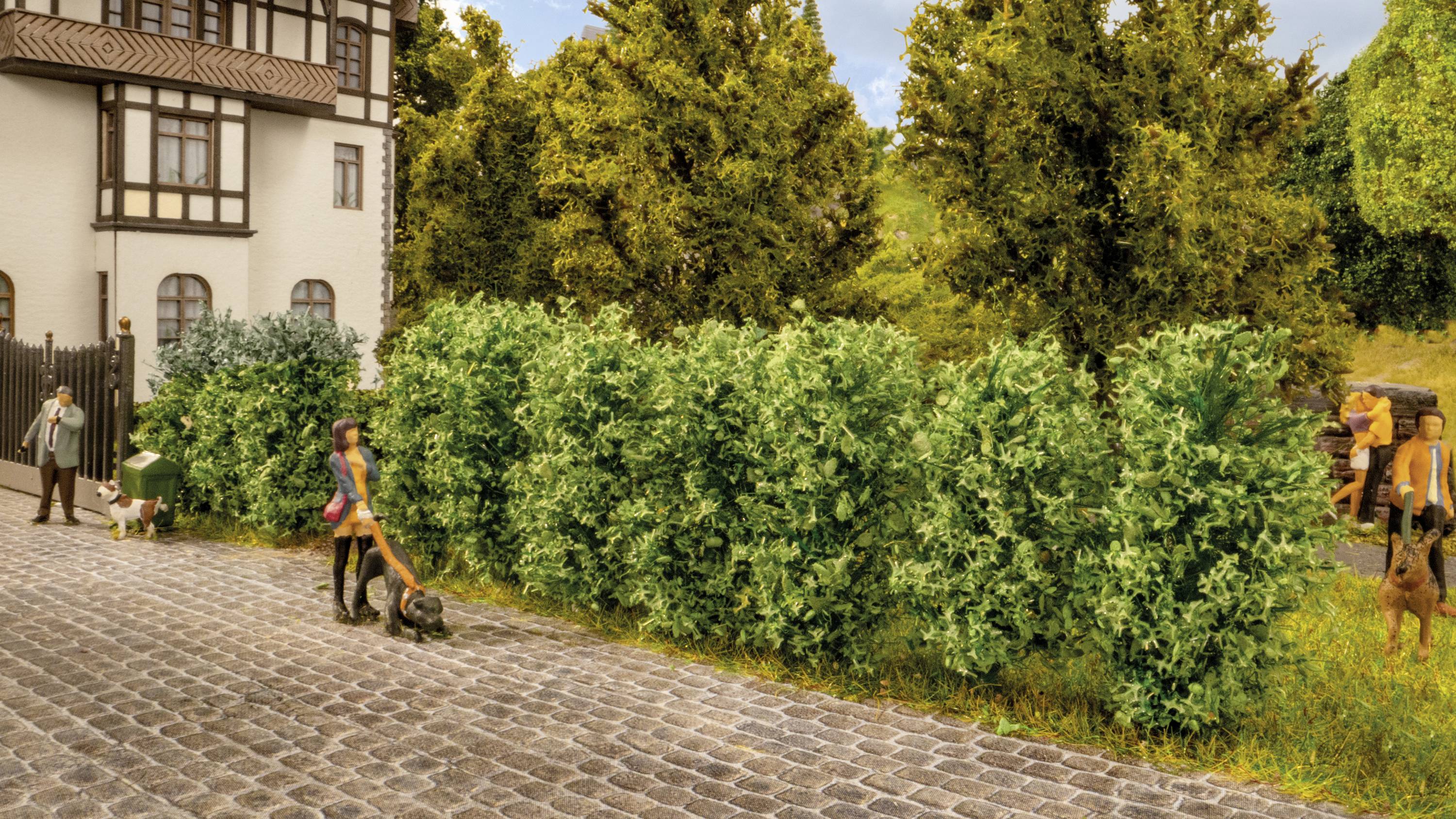 Une femme tond la pelouse le long d'une haie sur un chemin pavé. À l'arrière-plan, on peut voir une maison et plusieurs arbres.